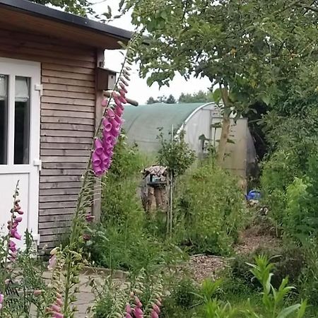 Fairschlafen - Gartenwohnung Buecken Luaran gambar